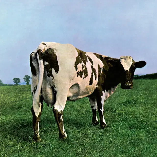 Pink Floyd - Atom Heart (CD) 영국반1994 민트급